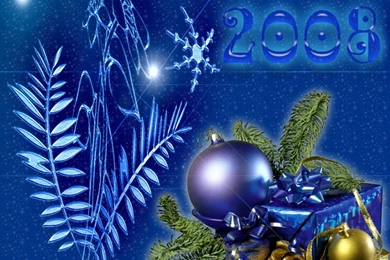 Happy New Year Wallpapers 7729 1024x768   Christmas Photography ...