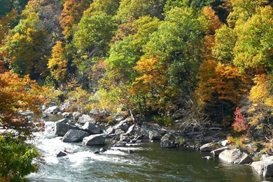 MLeWallpapers.com   Fall Color At Ohiopyle State Park