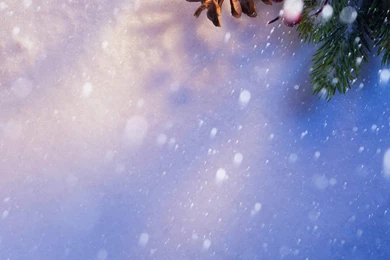 Holiday Christmas Image Free PPT Backgrounds For Your PowerPoint ...