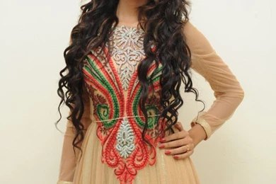 A Z PHOTOS: Heroine Shanvi Photos