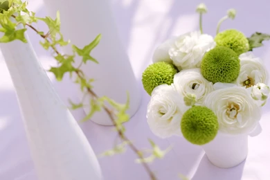 White And Green Flowers, You Feel Great Freshness And Clearness ...