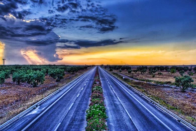 Roads Fields Plants Sky Sunset Wallpapers