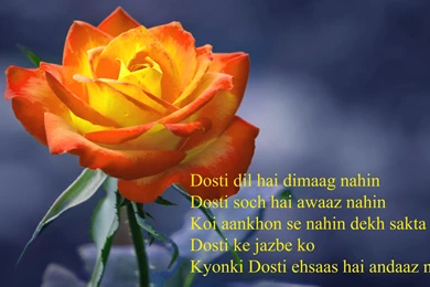 Friendship Beautiful Rose With Sweet Friendship Message Latest ...