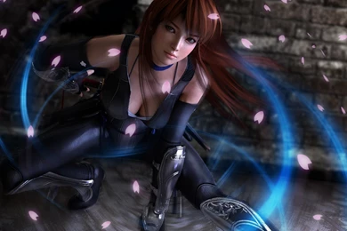 Dead Or Alive 5 Wallpapers