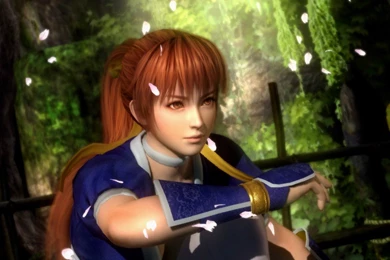 R.I.P Team Ninja & DOA5 (Implying That This Is Even A DOA Game ...