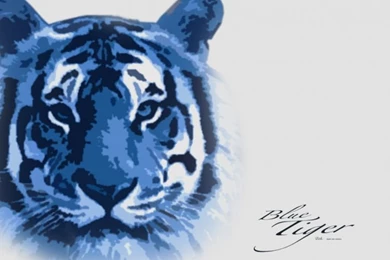 Wallpapers Animals > Wallpapers Felines   Tigers Blue Tiger By ...