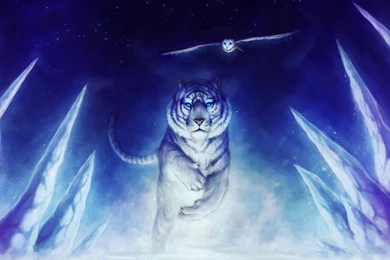 Flying Tiger Pictures Wallpapers