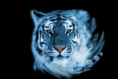Blue Tiger By B099l3 On DeviantArt