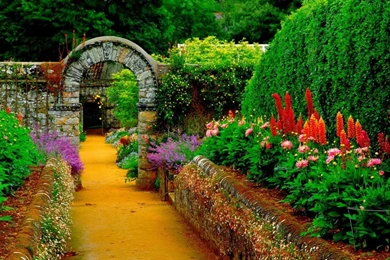 Nature Wallpapers High Resolution Free Download