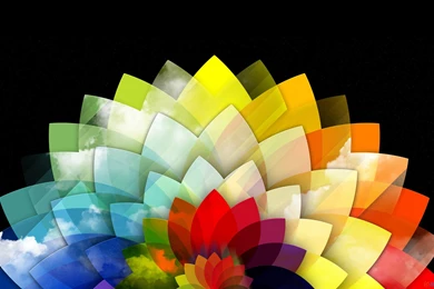 Vivid Colors Wallpapers