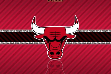 NBA, Chicago Bulls Team Logo Widescreen HD Wallpapers   1280x1024 ...
