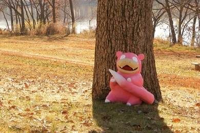 Slowpoke   DeviantArt