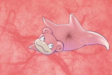 Some Pokemon Wallpapers I Made. Apologies If The Resolutions Have ...