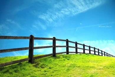 Fence To Heavens Wallpapers