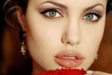 Angelina Jolie Hollywood Actress New Hd Face Wallpapers