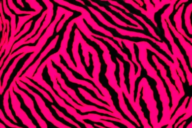 Zebra Print Wallpapers   Uwallo