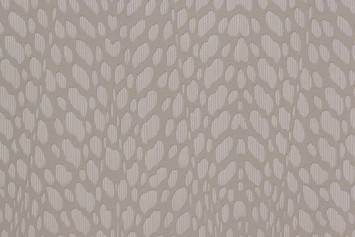 Wallpapers Rasch Funky Flair 2015 Non woven Wallpapers 721829 Plain ...