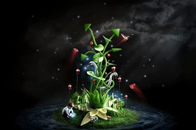 3d Wallpapers Free Download