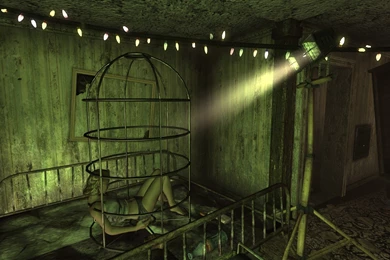 Kidnapping Gone Wrong, Or Kinky Night Gone Right? : Fallout