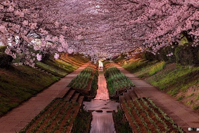 Wallpapers Download For Tablet,desktop Wallpapers