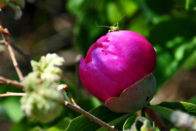 2160x1440 Wallpapers Travel. Enticing Tablet Wallpapers Pics