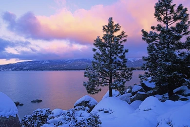 Wallpaper, Background, Nature, Winter, Other, Silence (