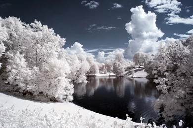 Nature, Winter, Snow, Trees, Water, Pond Wallpapers HD / Desktop ...
