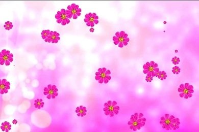 Purple Animated Flowers And Pink Background. Flower Backgrounds ...