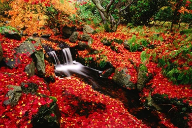 Hd Fall Landscape Pictures