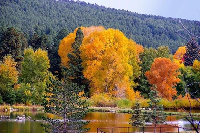 Fall Landscape Wallpapers   Wallpapers HD Wide