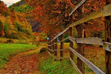 RURAL AUTUMN LANDSCAPE WALLPAPER   (