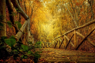 Fall Landscape Wallpapers By EliRogers
