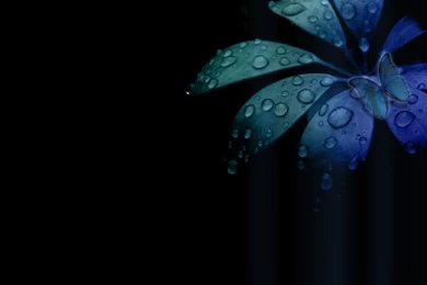 Blue Flower With Butterfly Wallpaper hd   Wallpapers Wave