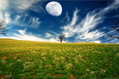 Nice Backgrounds For Desktop