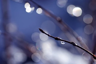 Nice Abstract Backgrounds