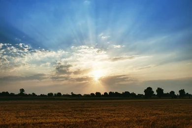 Nice Backgrounds Of Nature