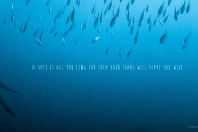 Safe Wallpapers   Wallpapers Zone