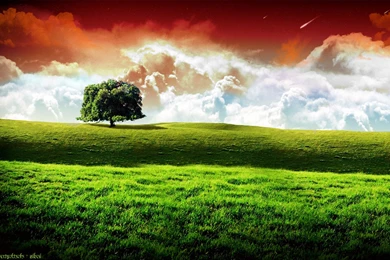 Hd home screen wallpapers 9 22414 HD Wallpapers