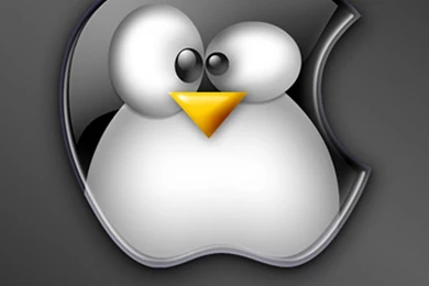 Apple Iphone Wallpapers