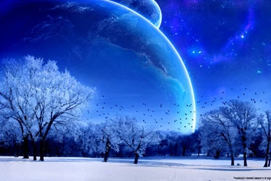 Winter Scene Wallpapers