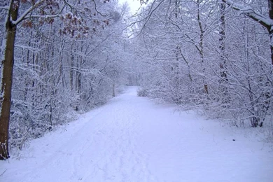 Winter Scenes Desktop Backgrounds Wallpapers