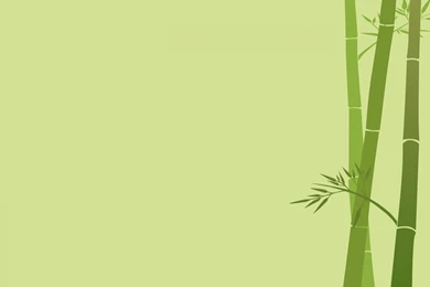 High Resolution Bamboo Simple Wallpapers Full Size   SiWallpaperHD ...