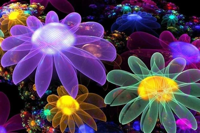 Android Mobile Phone Wallpapers