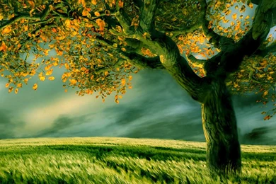 Beach And Sea Android Wallpapers 960x800 Mobile Phone Hd ...