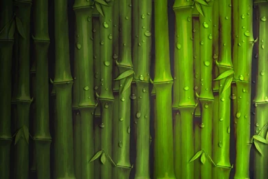 Bamboo Desktop Wallpapers