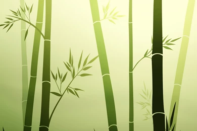 Bamboo Wallpapers – AB Wallpapers