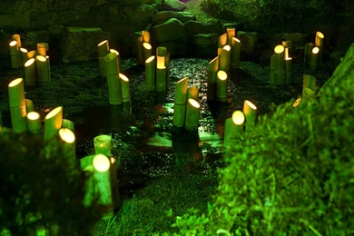 Bamboo Computer Wallpapers, Desktop Backgrounds