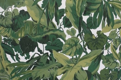 7a113f6c05a40dda_4829 w500 h666 b0 p0  wallpaper.jpg