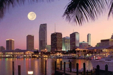 Must Visit Miami Once In Lifetime   Forum Tanggamus