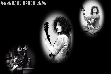 Marc Bolan T_ Rex Wallpapers